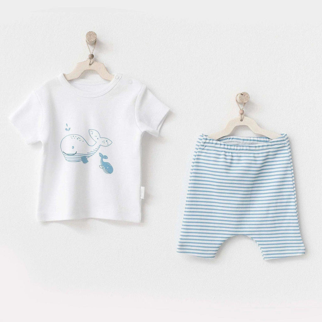 Cute Whale Short & T-Shirt Outfit