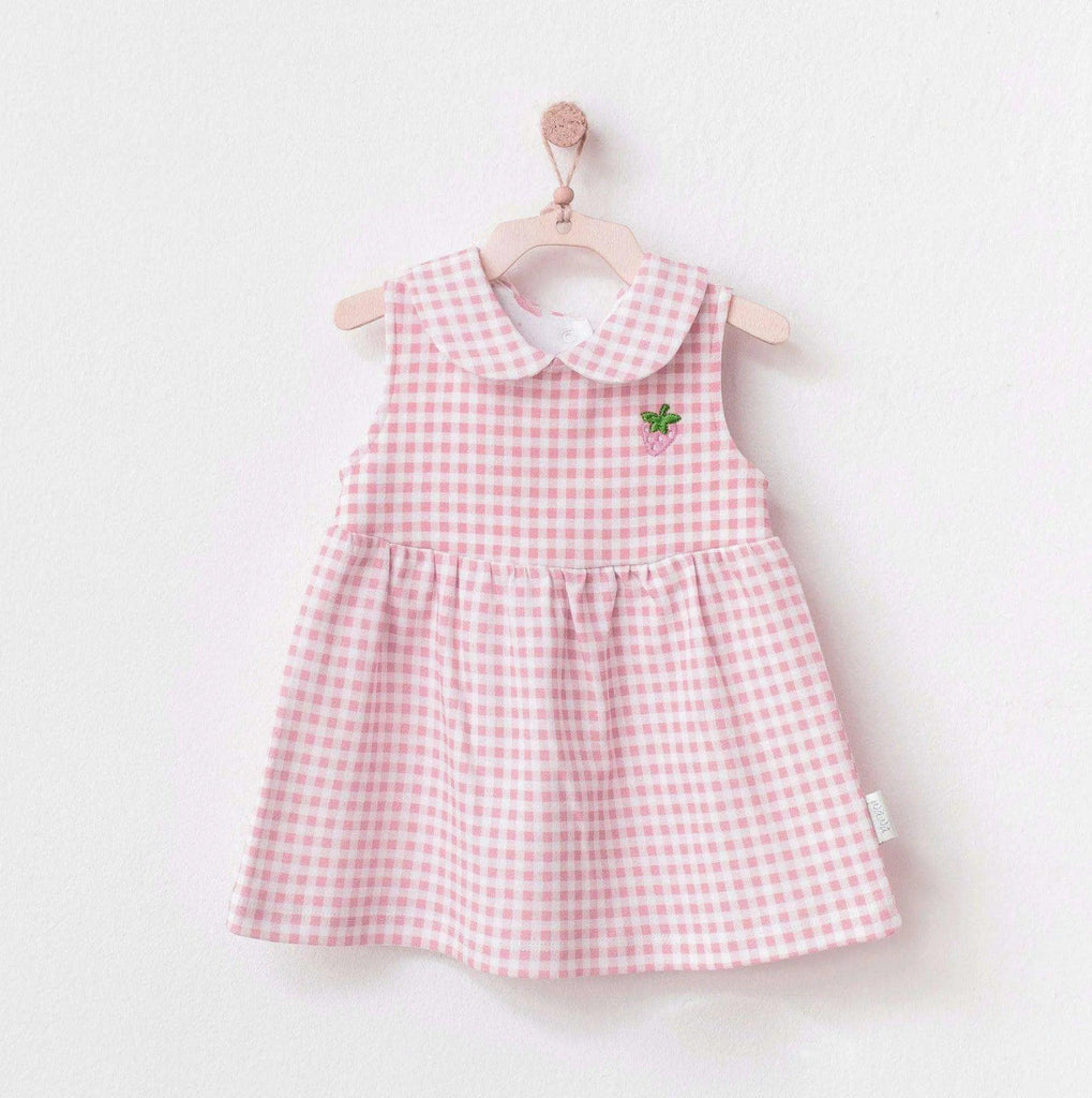 Strawberry  Picnic Time Baby Girl Dress , Baby Girl Outfit